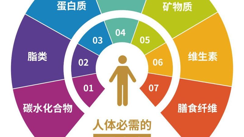 揭秘广州保健品定制生产的秘密——从源头到成品